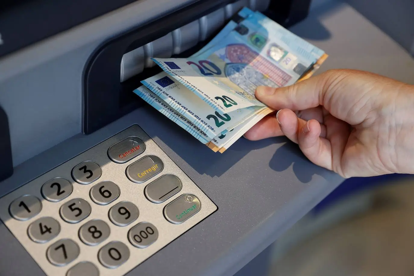 servicio-rentasmensuales